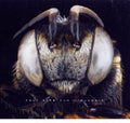 Kaly Live Dub: Allaxis - CD