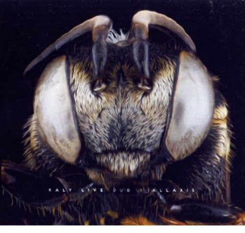 Kaly Live Dub: Allaxis - CD