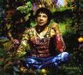 Laurent Voulzy: Saisons Le Double Best of - CD