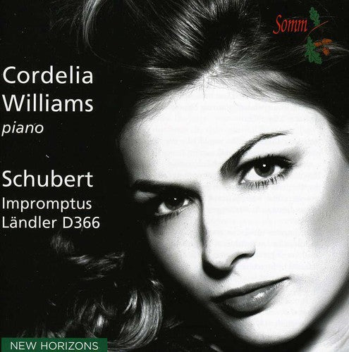 R. Schubert: Impromptus D899 & D935  ( CD )