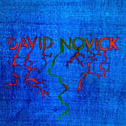 David Novick: David Novick - Vinyl