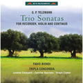 Tripla Concordia: Trio Sonatas for Recorder Violin & Continuo  ( CD )