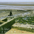 The Zephyrs: Year to the Day  ( CD )