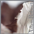 Adam Roberts: Leaf Metal  ( CD )