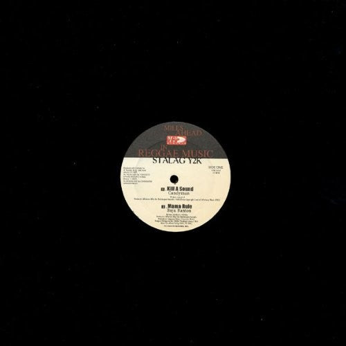 Various Artists: Stalag Y2K - 12-INCH SINGLE