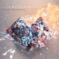 Jeremy Messersmith: Heart Murmurs - VINYL