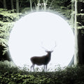 Lite: Installation - Vinyl