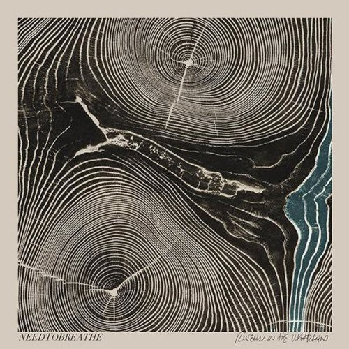 Needtobreathe: Rivers in the Wasteland - VINYL