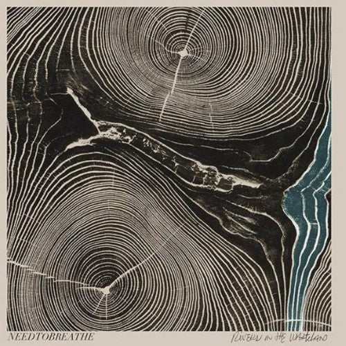 Needtobreathe: Rivers in the Wasteland - CD