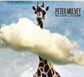 Peter Mulvey: Silver Ladder  ( CD )