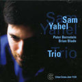 Sam Yahel Trio: Trio - CD