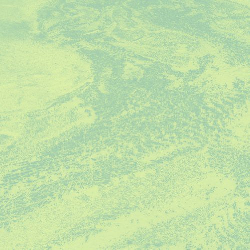 Brett Naucke: Seed - VINYL