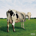 Morgaua Quartet: Atom Heart Mother Is on the Edge  ( CD )