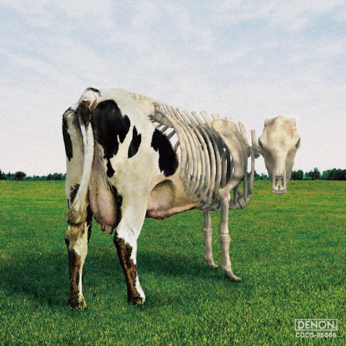 Morgaua Quartet: Atom Heart Mother Is on the Edge  ( CD )
