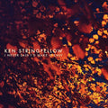 Ken Stringfellow: I Never Said I D Make It Easy  ( CD )