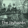 The Jayhawks: Tomorrow the Green Grass - VINYL