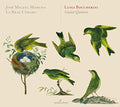 Boccherini / Moreno / La Real Camara: Guitar Quintets  ( CD )