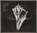 Robert Plant: Lullaby & the Ceaseless Roar - CD