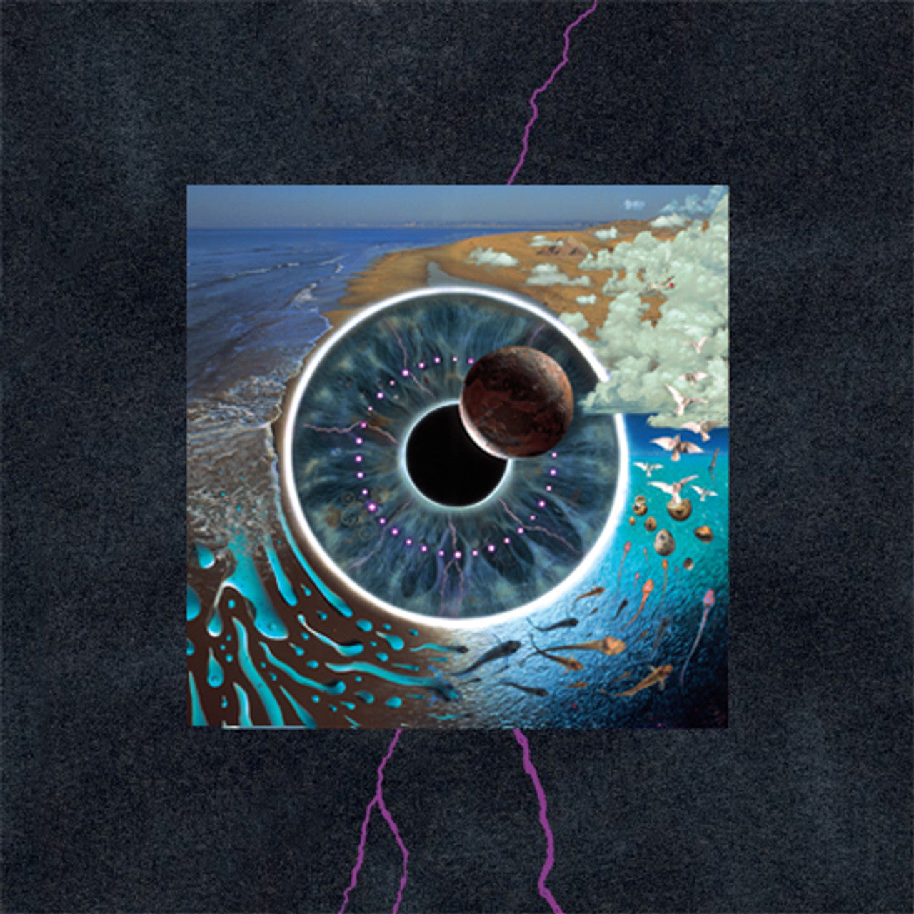 Pink Floyd - Pulse ( VINYL ) Box Set