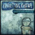 Counting Crows - Somewhere Under Wonderland ( VINYL )