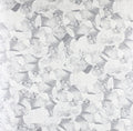 Shahrokh Dini: Compost Black Label 116 - 12-INCH SINGLE