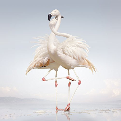 Rustie: Green Language - VINYL