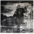 Zaquoir: Asino Sardo - Vinyl
