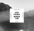 Schwarz-Schilling / Schlueren / Symphonia Momentum: Declamatory Counterpoint  ( CD )