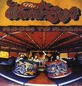The Waterboys: Room to Roam - VINYL