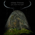 Sleep Thieves: You Want the Night - VINYL