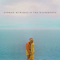 McMahon in the Wilde: Andrew McMahon in the Wilderness - VINYL