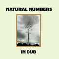Natural Numbers: Natural Numbers in Dub - VINYL