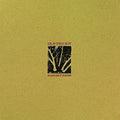 Gravenhurst: Flashlight Seasons - VINYL