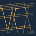 Lowcommittee: Race at Neon Club - 12-INCH SINGLE