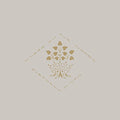 Elephant Micah: Where in Our Woods  ( CD )