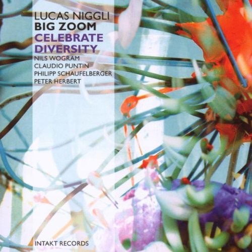 Niggli: Celebrate Diversity Zoom  ( CD )