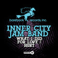 Inner City Jam Band: What I Did for Love / Hurt - CD