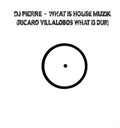 DJ Pierre: What Is House Muzik - 12-INCH SINGLE