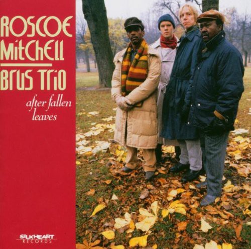 Roscoe Mitchell: After Fallen Leaves - CD