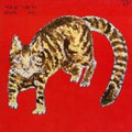 Yasuaki Shimizu: Kakashi - CD