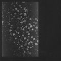 Motorama: Poverty - CD