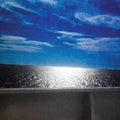 Michael Feuerstack: Forgettable Truth - Vinyl