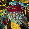 Chon: Grow - CD