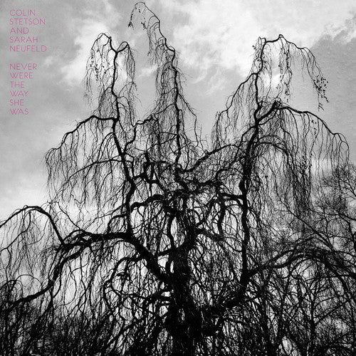 Colin Stetson: Never Were the Way She Was - VINYL