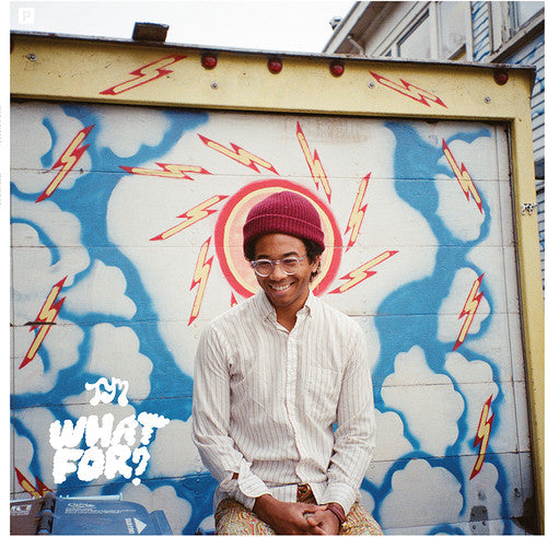 Toro y Moi: What for - VINYL
