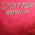 Spirit Family Reunion: Hands Together - Vinyl