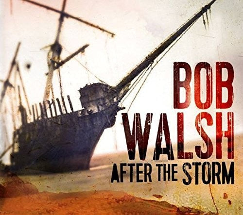 Bob Walsh: After the Storm  ( CD )