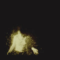 Wolf Alice - My Love Is Cool ( VINYL )