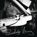 Buddy Guy: Born To Play Guitar  ( CD )