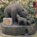Various Artists: 40 Years Bear Family Records / Various  ( CD )